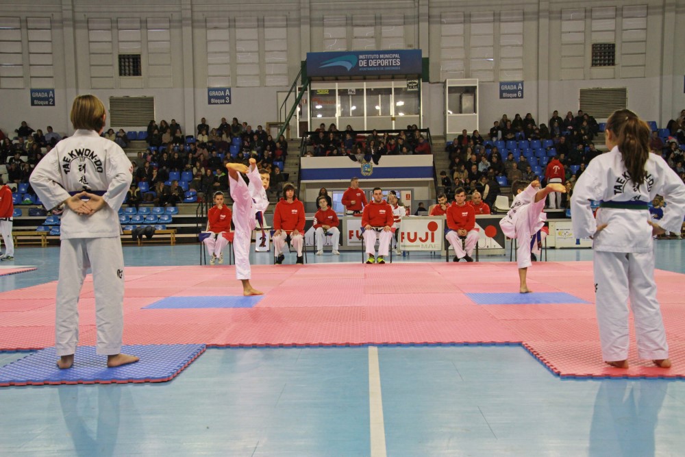 Taekwondo Dic 2016 (220).jpg